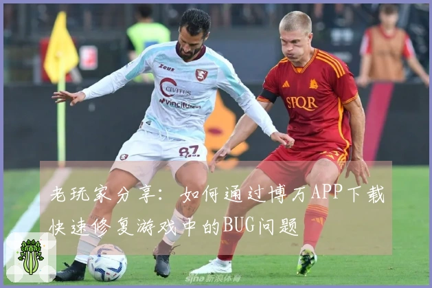 老玩家分享：如何通过博万APP下载快速修复游戏中的BUG问题