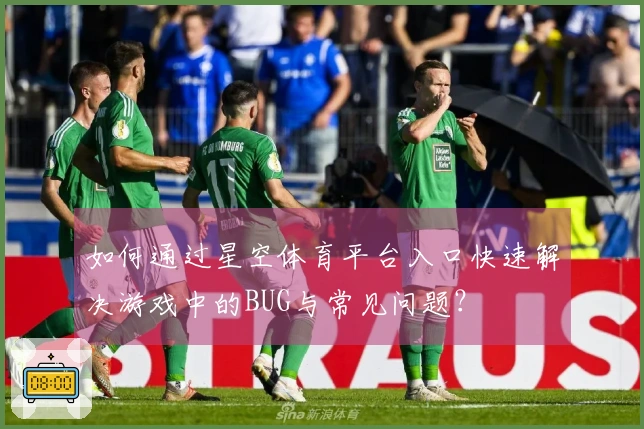 如何通过星空体育平台入口快速解决游戏中的BUG与常见问题？