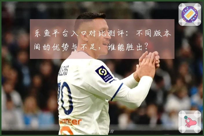 乐鱼平台入口对比测评：不同版本间的优势与不足，谁能胜出？