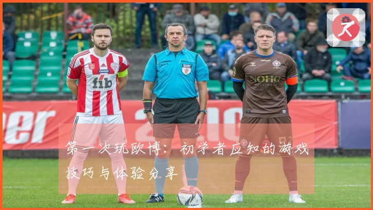 第一次玩欧博：初学者应知的游戏技巧与体验分享